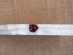 The Clove Bracelet: Garnet